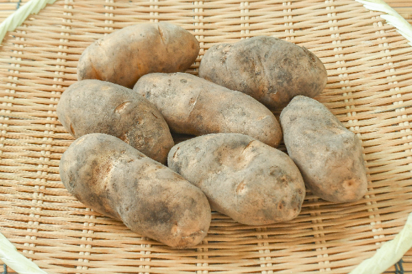 キタアカリ（L）