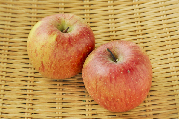 りんご（サンふじ）（36玉サイズ）