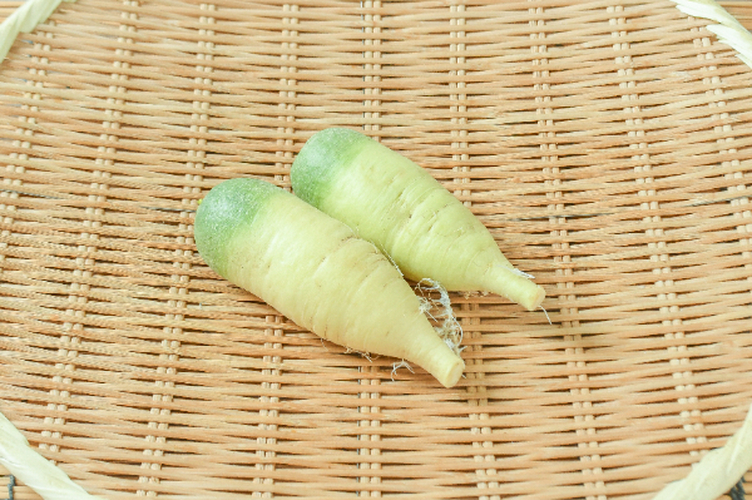 青芯大根