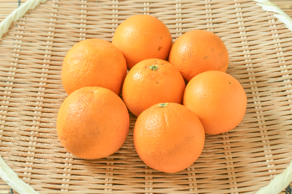 ネーブルオレンジ（加工用）1kg