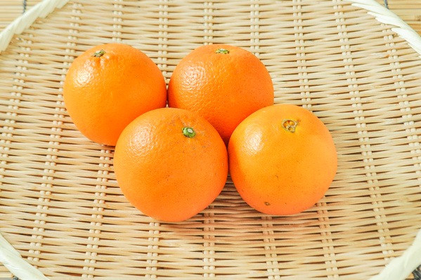 ネーブルオレンジ　1kg