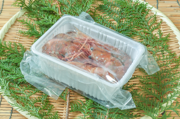 ボタンエビ（メス）