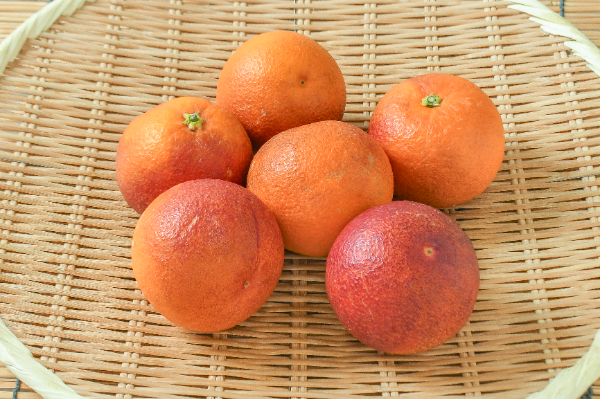 仏手柑 【業務用食材の仕入れなら八面六臂】