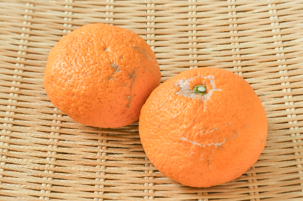 清見オレンジ（4L） 【業務用食材の仕入れなら八面六臂】