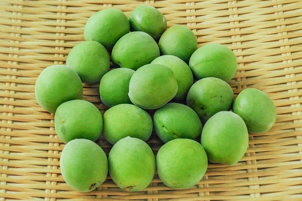 南高梅 