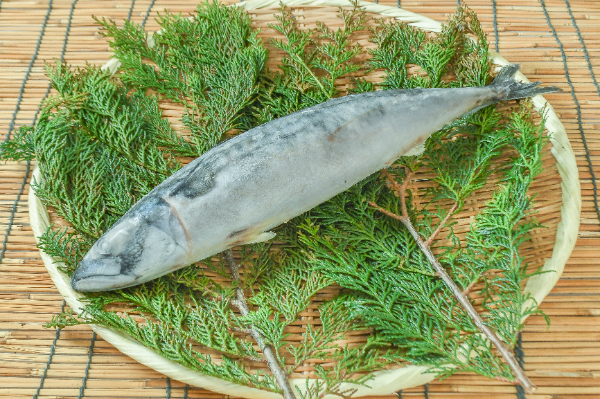 丸サバ　800-1kg