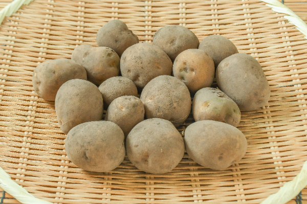 伯爵（S）1kg