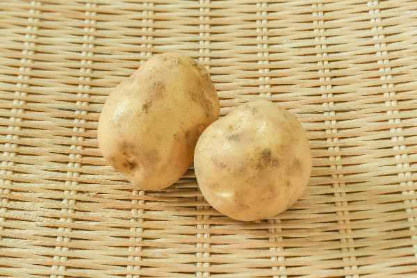 とうや（L）