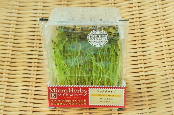 大小様々　無農薬マジックリーフ　天然ももたまな葉　1000　枚 大小様々 無農薬マジックリーフ 天然ももたまな葉 500枚 - 水質