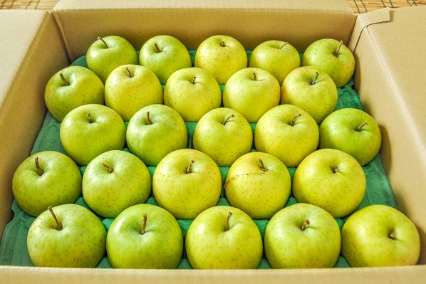 青りんご（王林）（50玉サイズ）箱