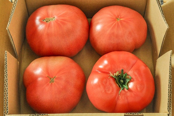 トマト（丸2L）（小箱）