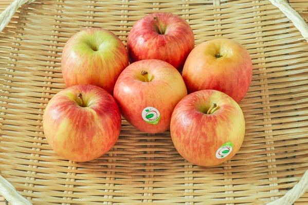 りんご（ふじ）６玉位入