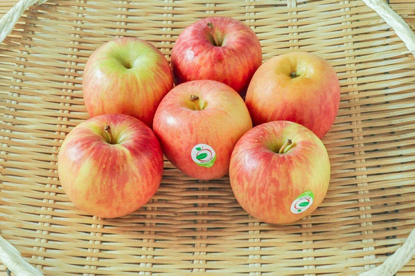 りんご（ふじ）６玉位入