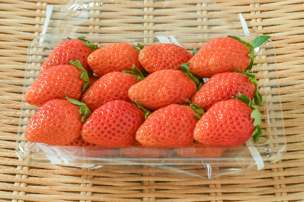 やよいひめ（2L）