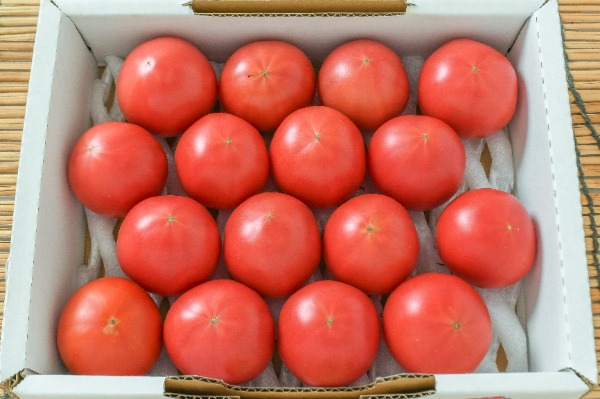 ぴゅあトマト（高糖度8度）（16玉サイズ）箱800gr
