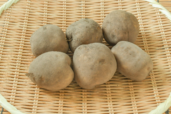 伯爵（L）1kg