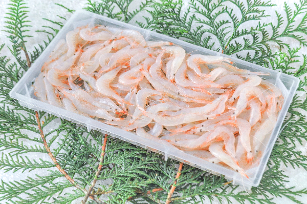 殻付き白えび 【業務用食材の仕入れなら八面六臂】