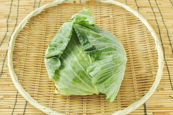 夏キャベツ 10玉サイズ 八面六臂