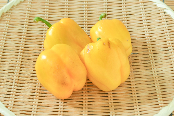 パプリカ（黄）（B）500gr