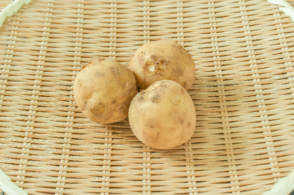 とうや（L）500gr