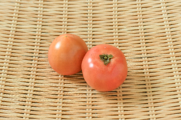 大玉トマト（A2S）