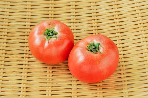 大玉トマト（D2L）（16玉サイズ）