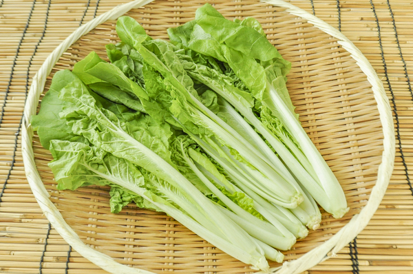 山東菜