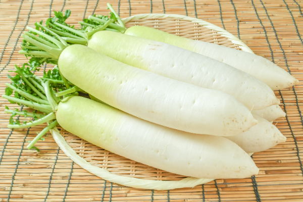 大根（秀M）5kg6本