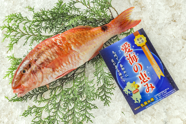 ホウライヒメジ 刺網 八面六臂