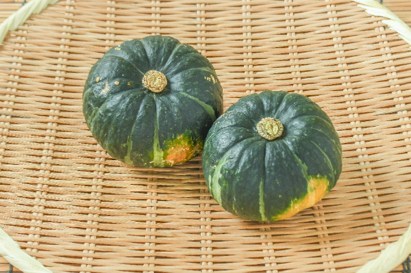 石毛農園の坊ちゃんかぼちゃ（13玉サイズ）