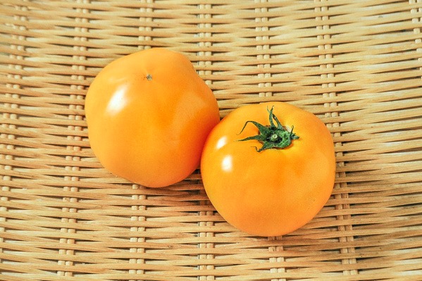黄色大玉トマト（AL）（20玉サイズ）