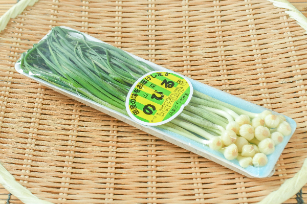 のびる（S） 【業務用食材の仕入れなら八面六臂】