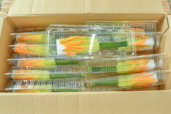 花ズッキーニ　箱10入