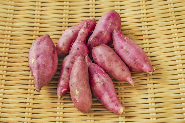 土佐紅 八面六臂