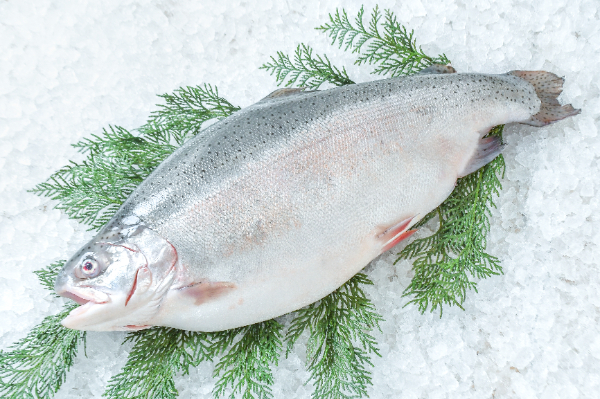 天然マスノスケ 【業務用食材の仕入れなら八面六臂】