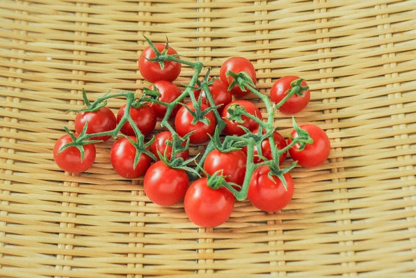 房付きミニトマト（紅房果）（和歌山県産）