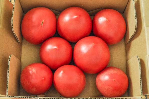 トマト（赤秀）（小箱）8玉