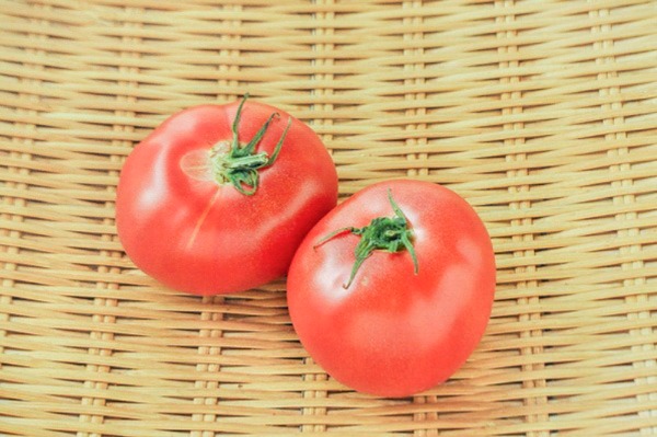 大玉トマト（BL）（19-21玉サイズ）