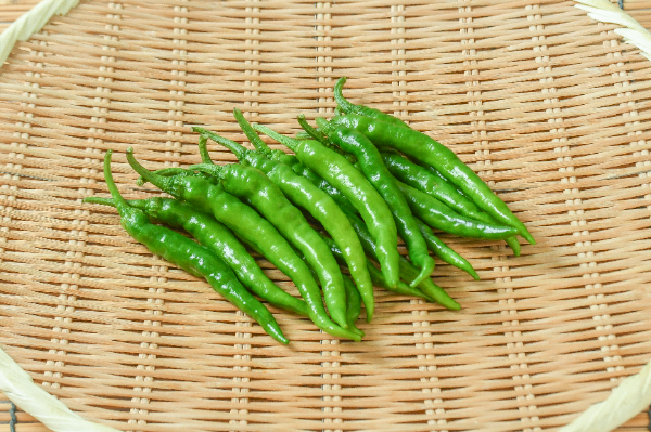 甘長とうがらし（FG）100gr