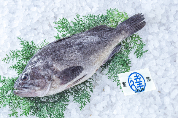 室蘭丸達水産　クロソイ（北海道室蘭産）