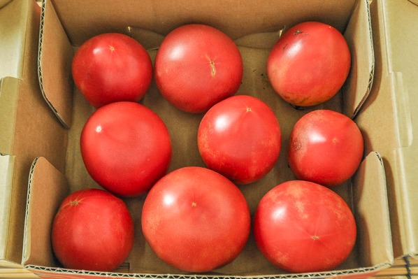 トマト（赤秀）（小箱）9玉