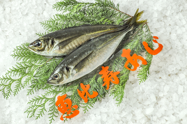 恵比寿あじ（釣物）