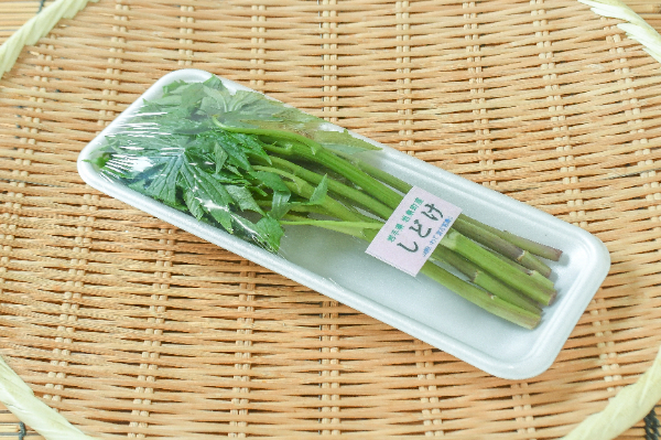 しどけ（モミジガサ） 【業務用食材の仕入れなら八面六臂】