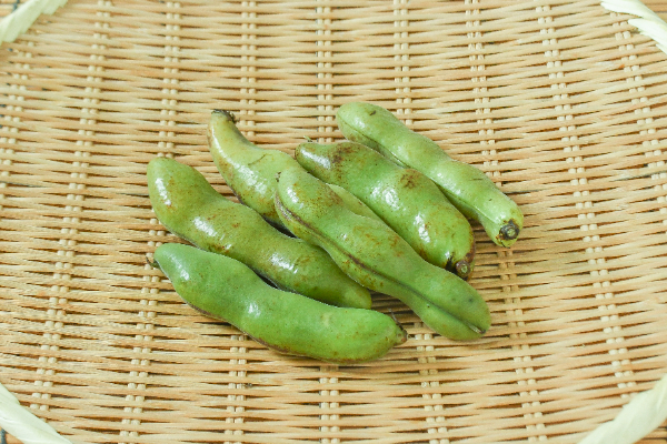 そら豆（L）200gr