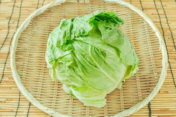 春キャベツ（B）（8玉サイズ） 【業務用食材の仕入れなら八面六臂】