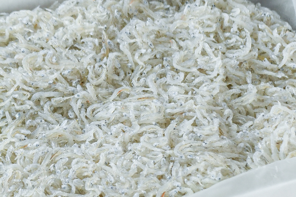 釜揚げしらす