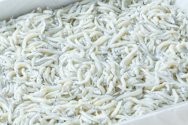 つくし 【業務用食材の仕入れなら八面六臂】