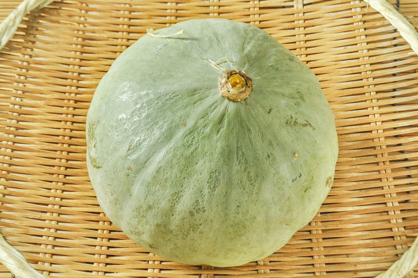 カボチャ 八面六臂