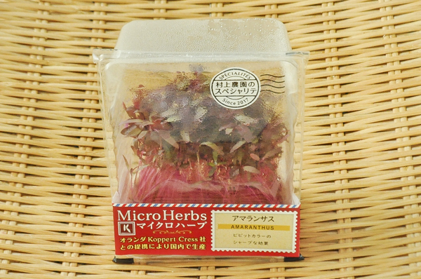 マイクロハーブ アマランサス 八面六臂