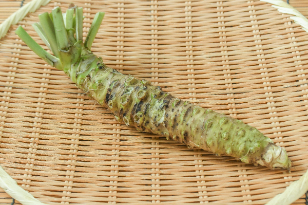 生わさび（キズ）200gr